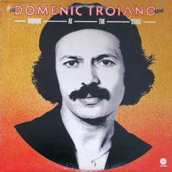 The Domenic Troiano Band.jpg